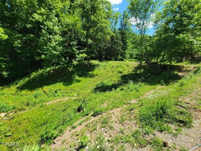 Tract 7 Sandy Valley Road