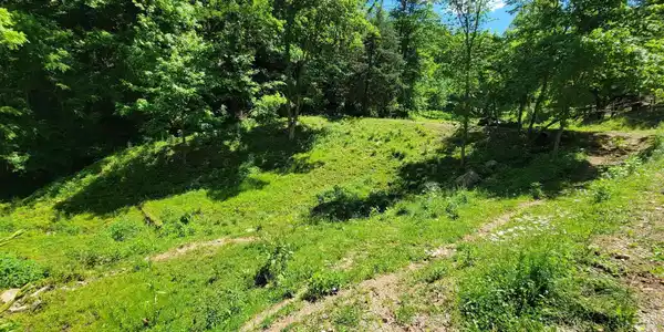 Tract 7 Sandy Valley Road