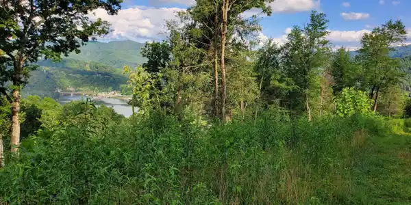 Image 3: 20250716_182137