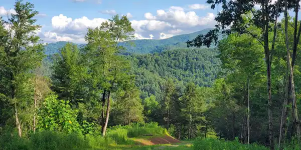 Image 4: 20250716_182307