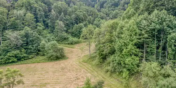 Image 3: TBD Miller Rd-7