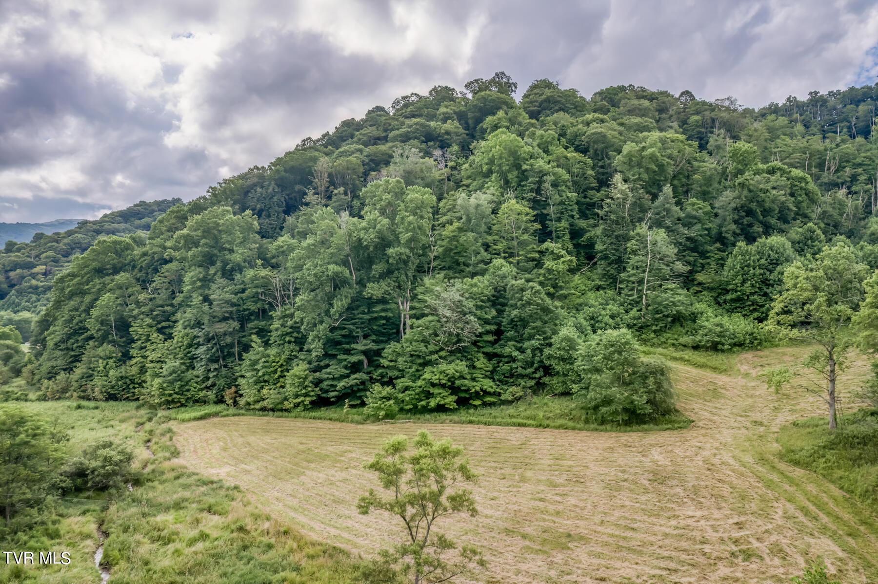 Image 4: TBD Miller Rd-8