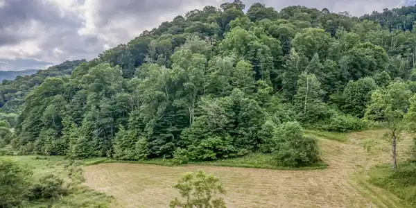 Image 4: TBD Miller Rd-8