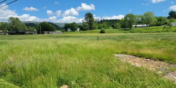 Image 3: 20250521_145847