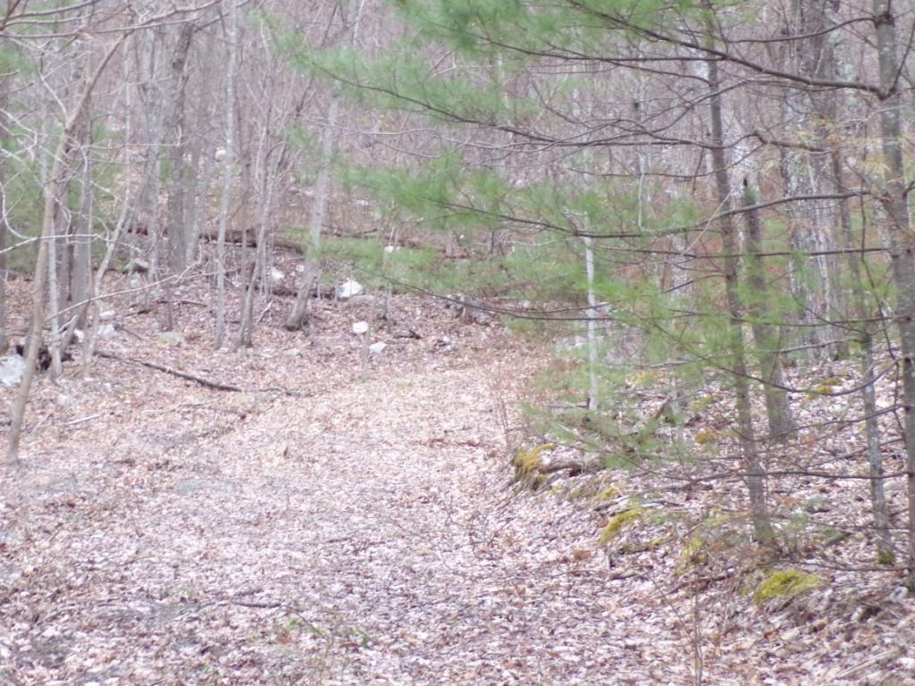 Image 1: Photo 2