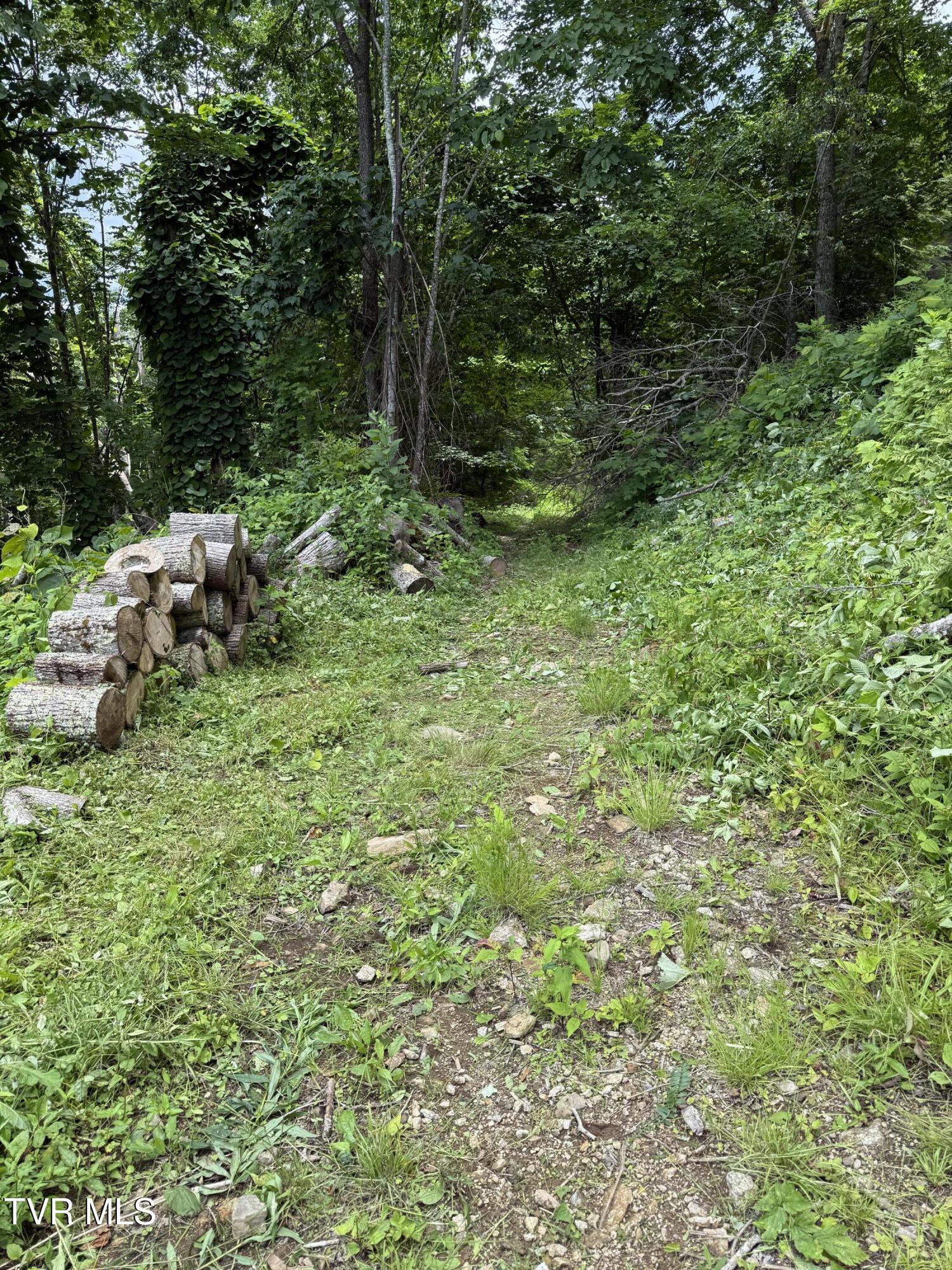 Image 3: image00010