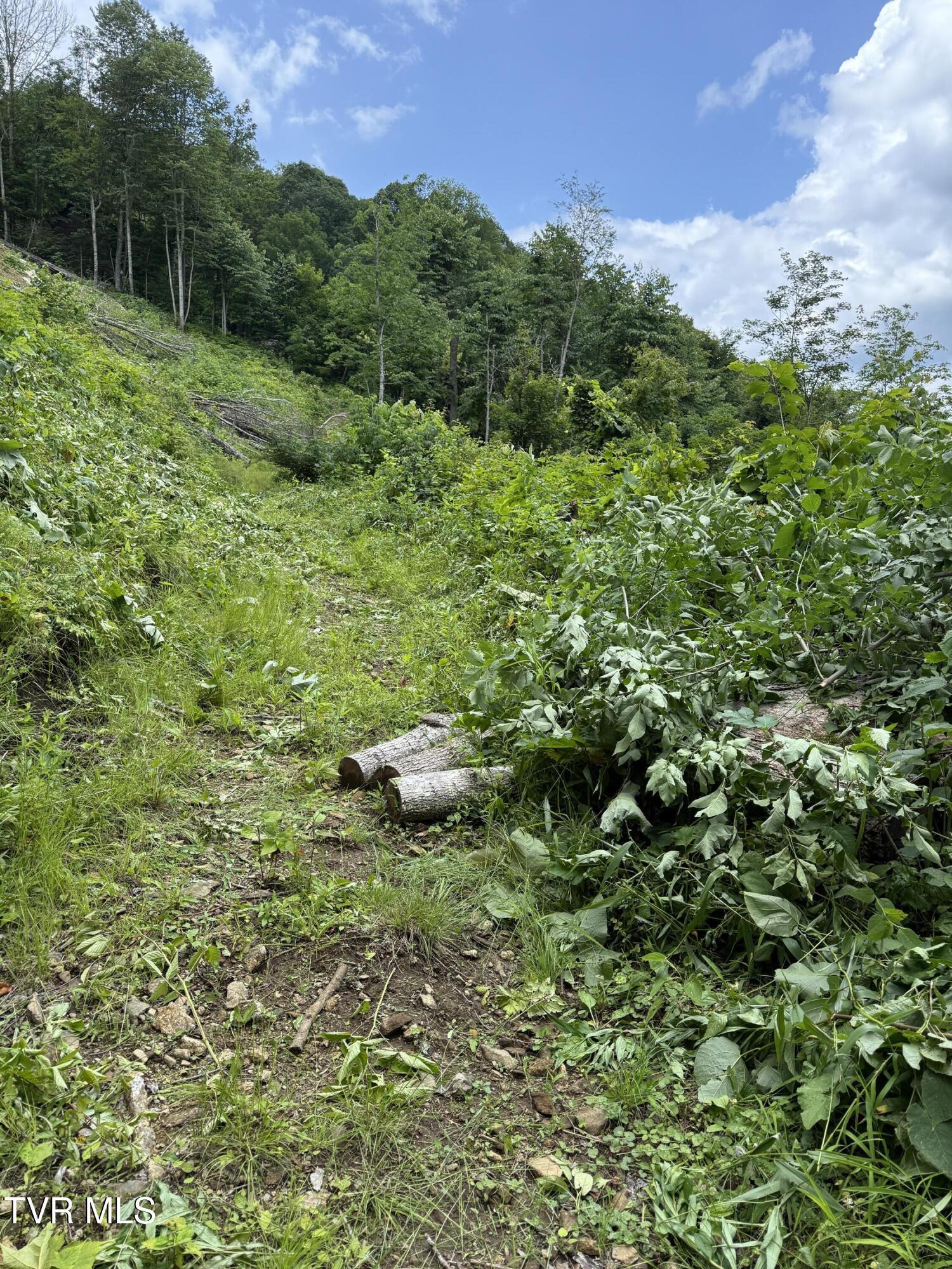 Image 4: image00009