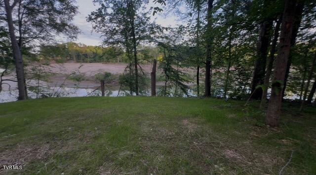 Image 3: IMG_3992