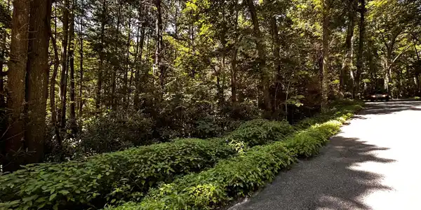 Tbd Viking Mountain Road