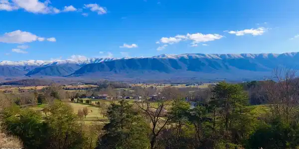 Image 2: IMG_1408