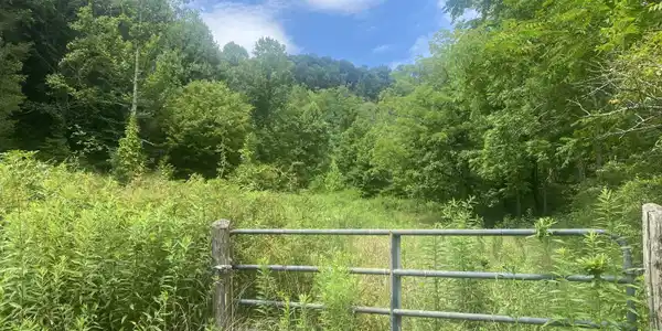 638 Old Hwy 143