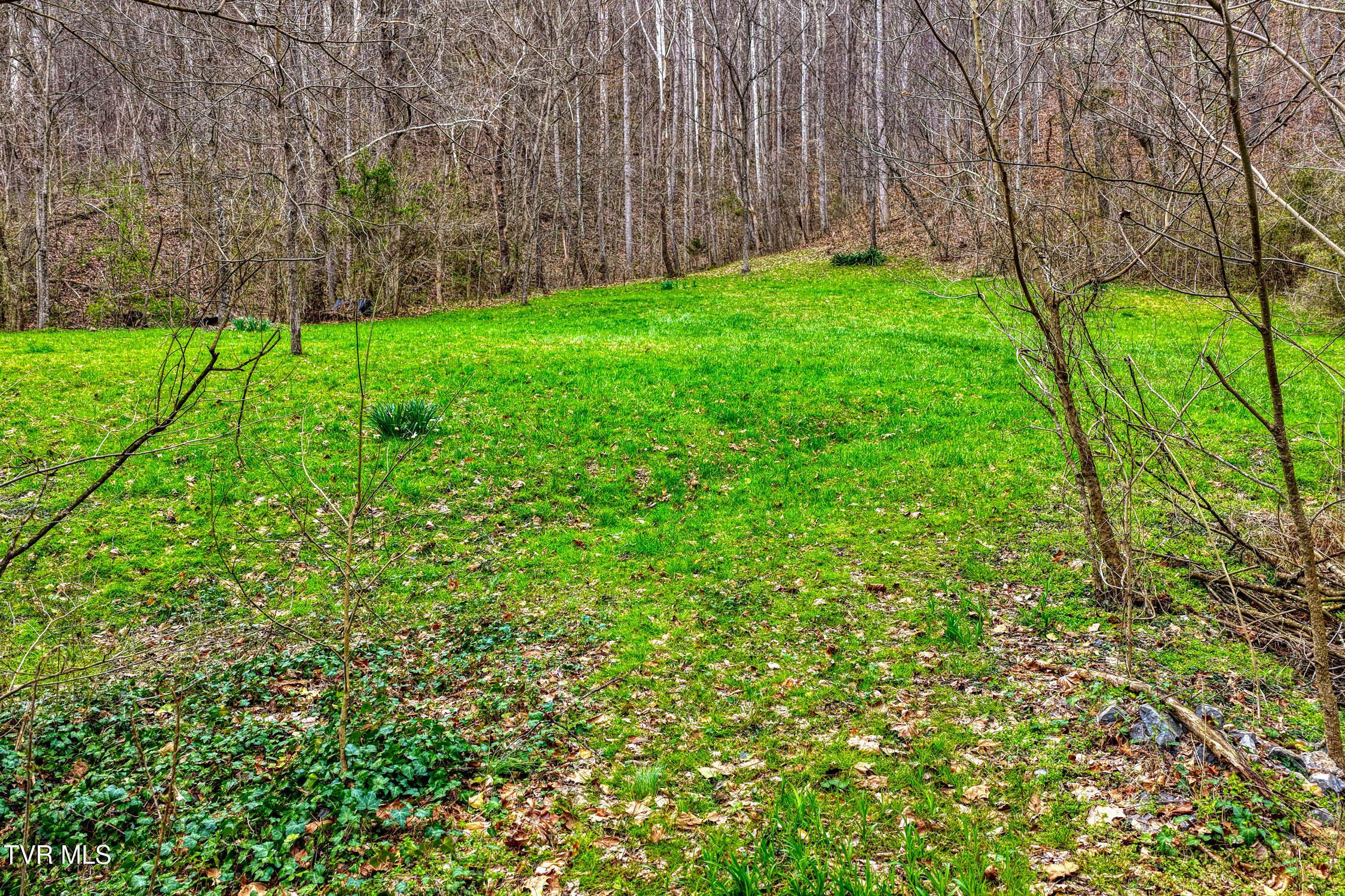 Image 2: 1795 Bear Hollow. Gvl MLSa (2 of 35)