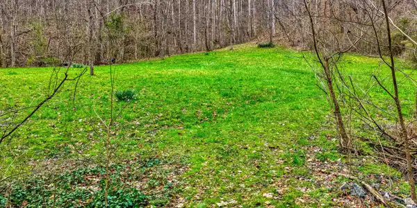Image 2: 1795 Bear Hollow. Gvl MLSa (2 of 35)
