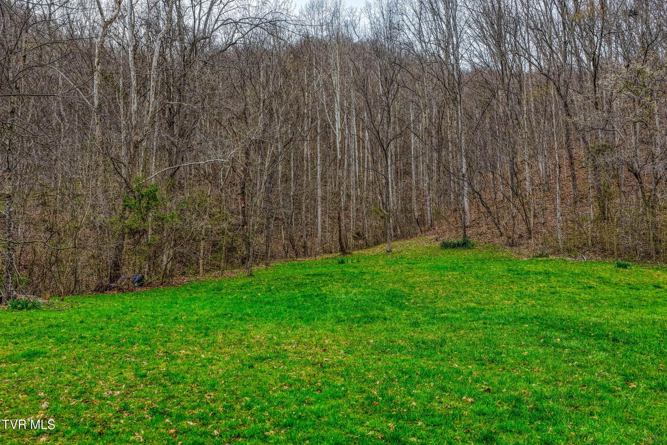 Image 3: 1795 Bear Hollow. Gvl MLSa (3 of 35)