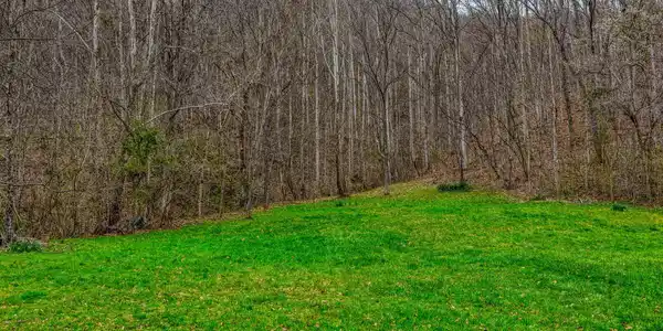 Image 3: 1795 Bear Hollow. Gvl MLSa (3 of 35)