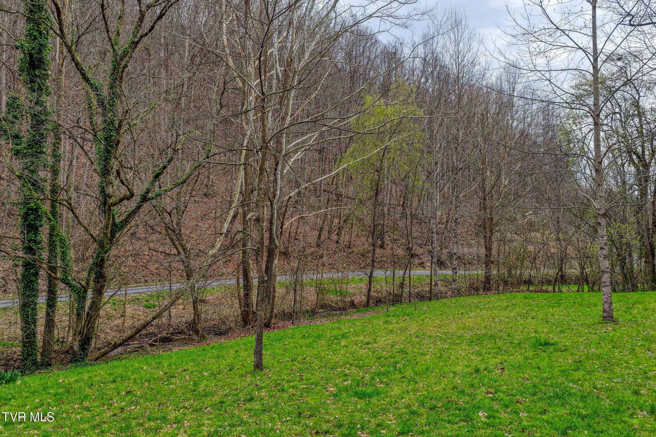 Image 4: 1795 Bear Hollow. Gvl MLSa (4 of 35)