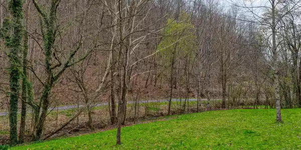 Image 4: 1795 Bear Hollow. Gvl MLSa (4 of 35)