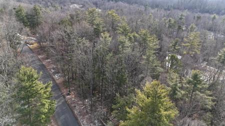Tr 13 Mountain Laurel Court