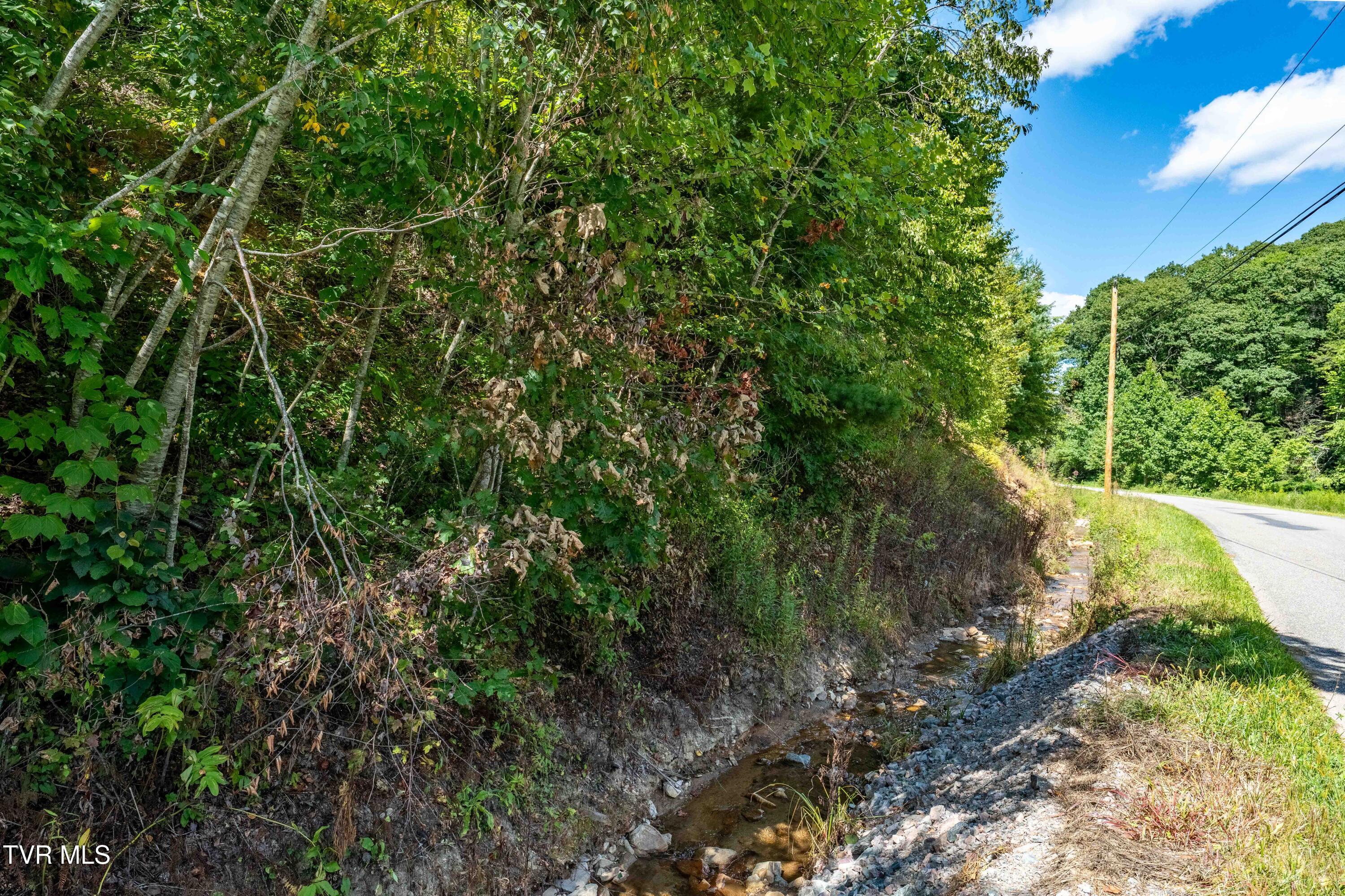 Image 2: TBD Bulldog Rd (26 of 28)