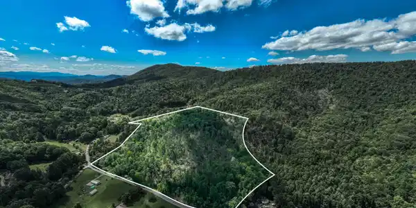 Image 4: TBD Bulldog Rd (3 of 28)