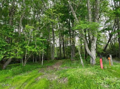 1764 Ripshin Mountain Road