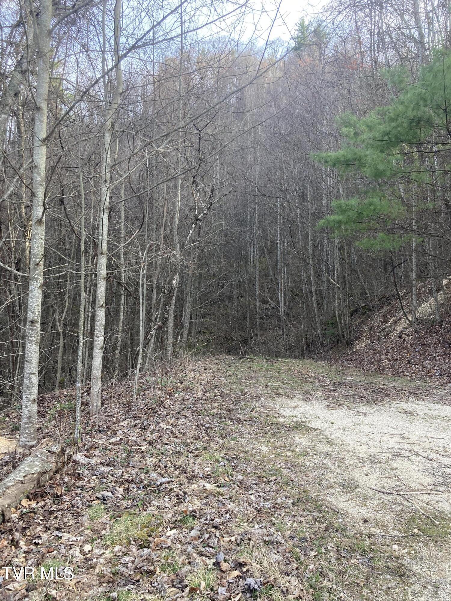 Image 2: Lot 38 6