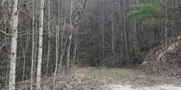 Image 2: Lot 38 6