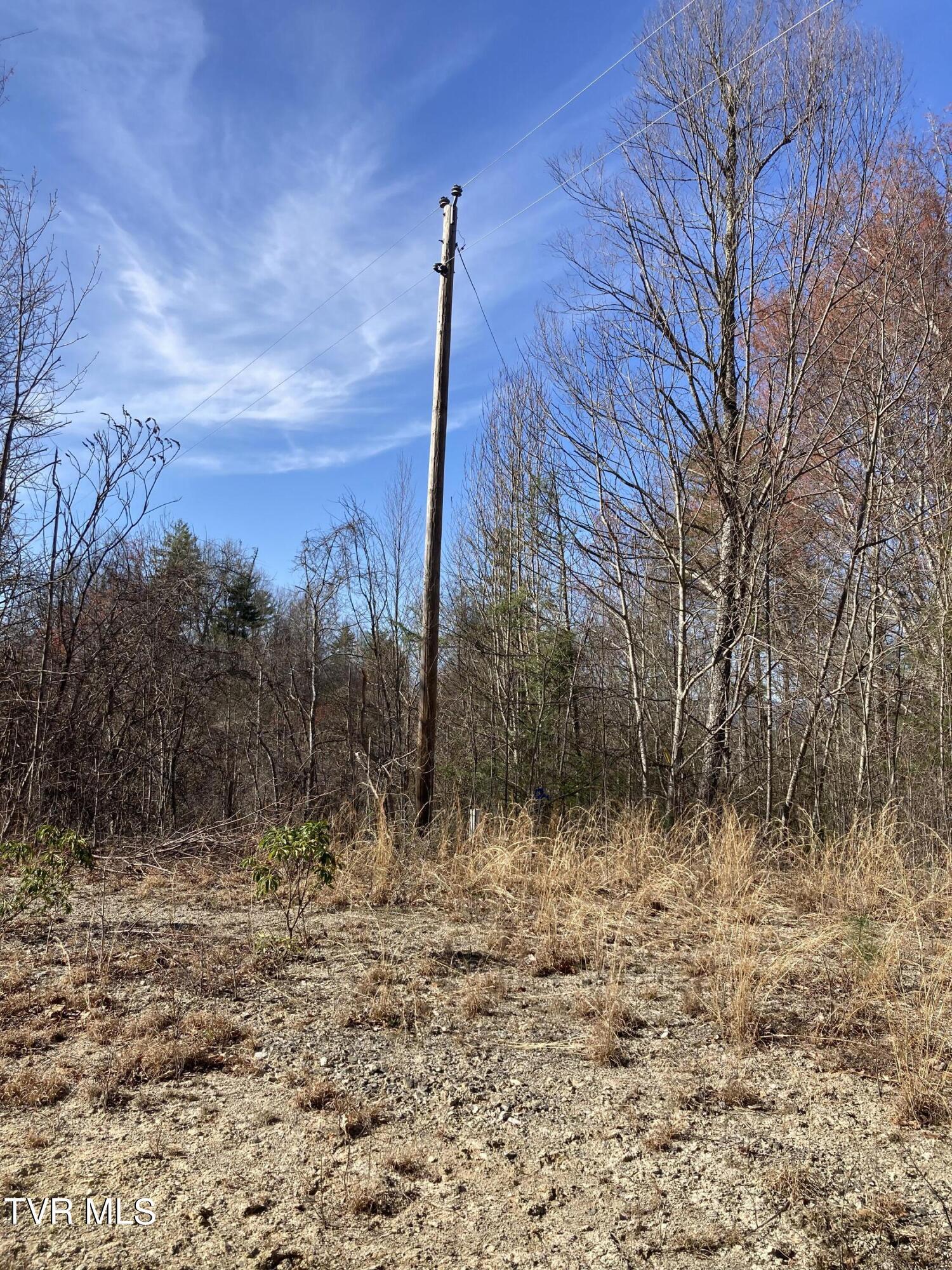 Image 3: Lot 38 2