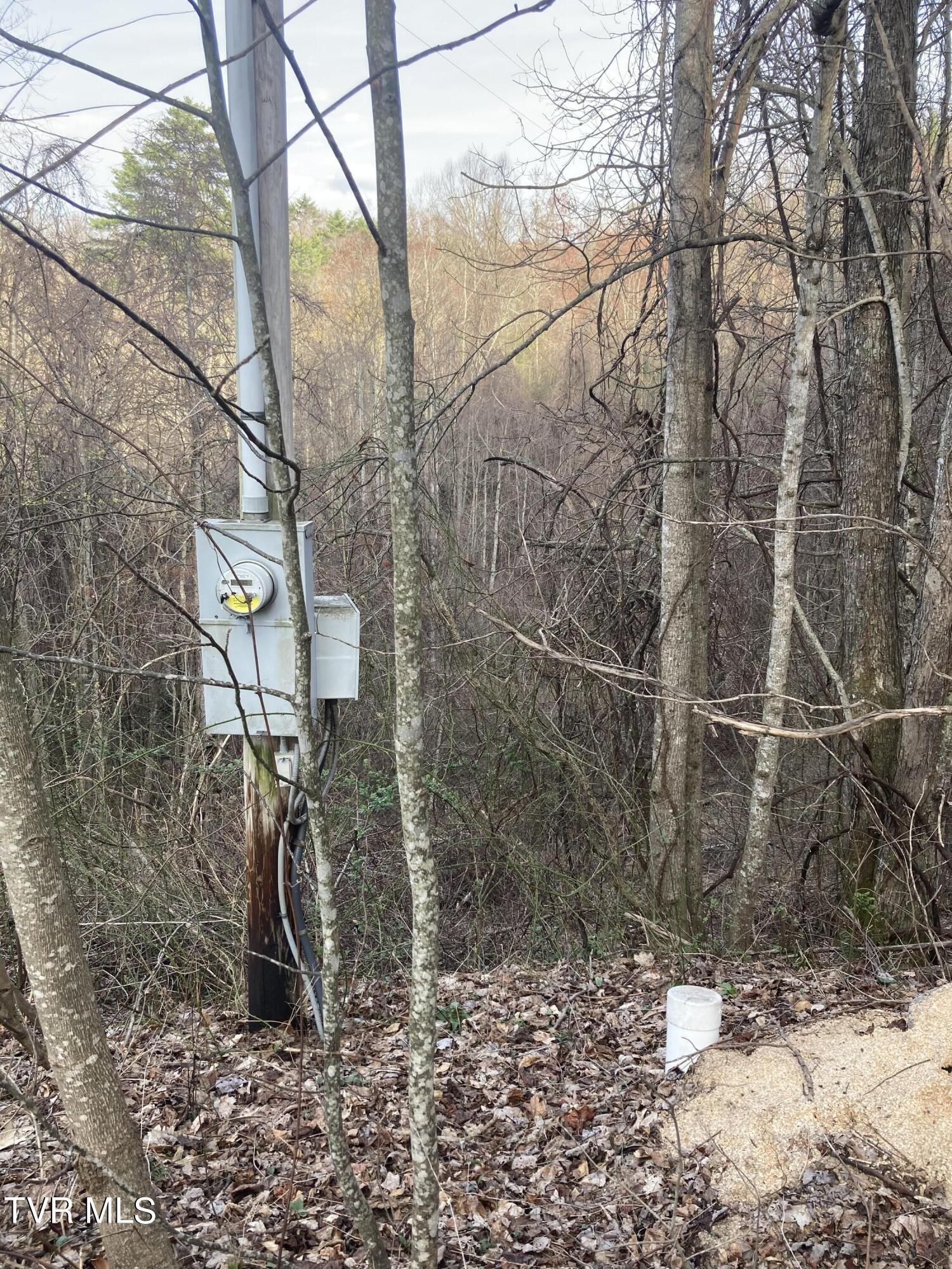 Image 4: Lot 38 4