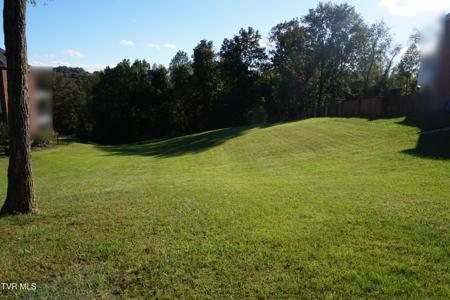 256 Park Ridge Court