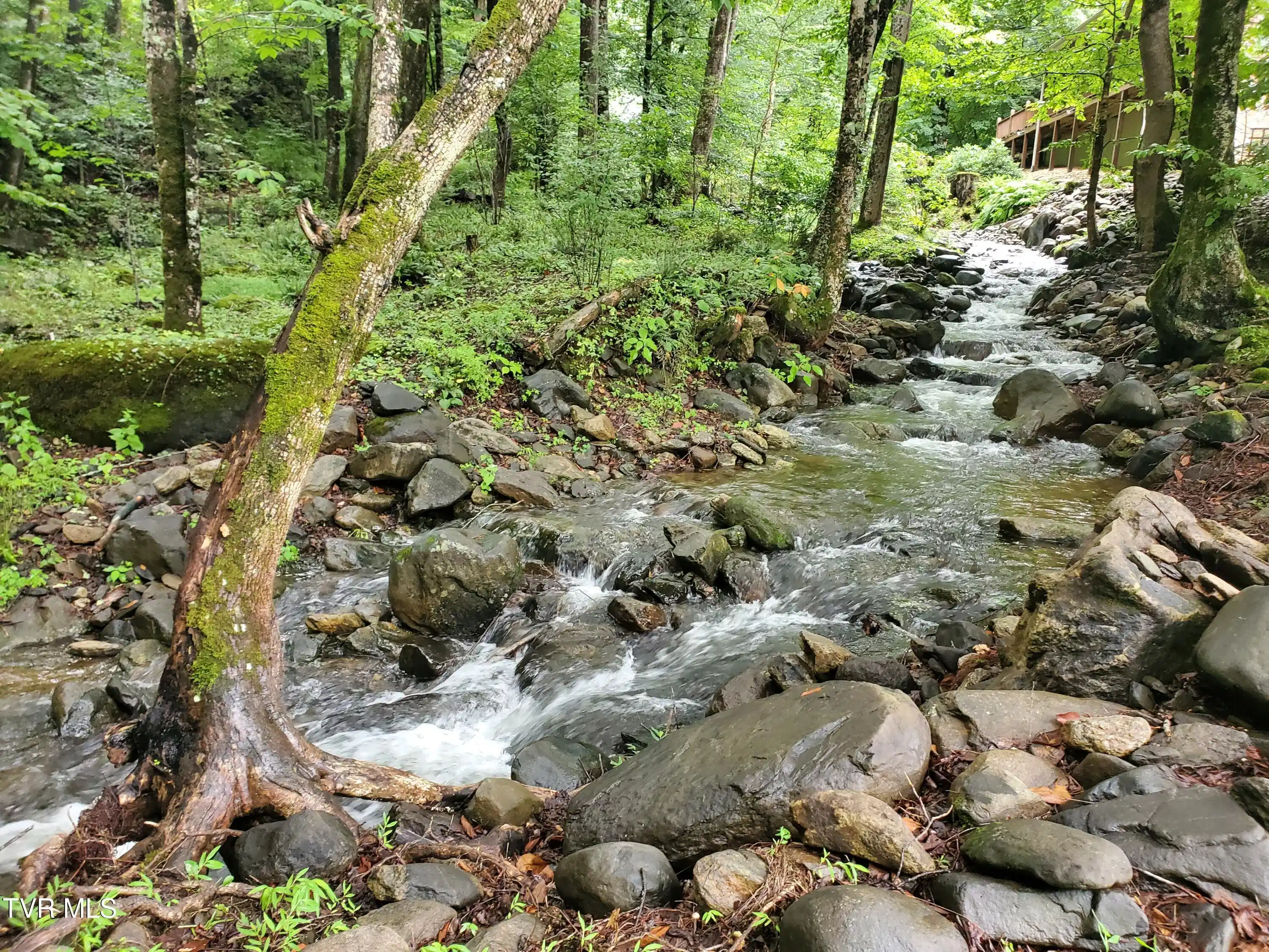 Image 1: 20260726_123919