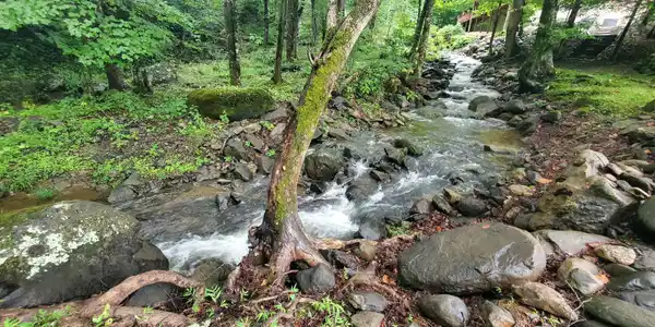 Image 2: 20260726_124020