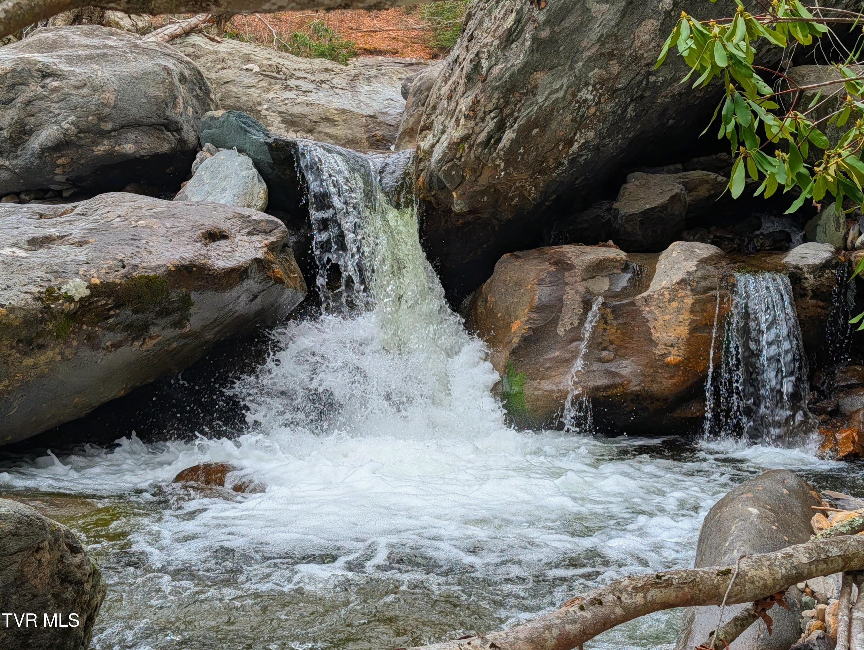 Image 1: PXL_20260326_150925197.MP~2