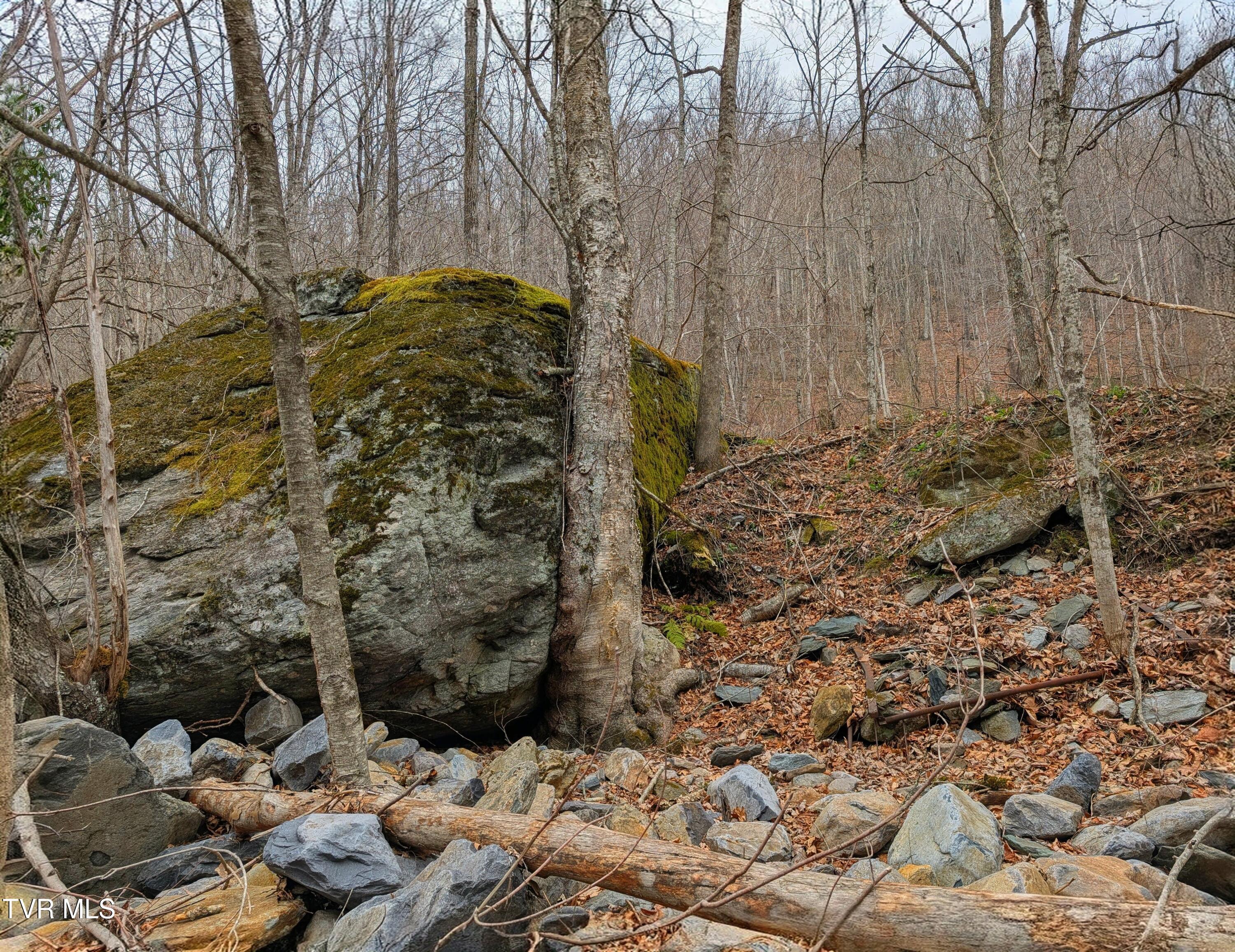 Image 3: PXL_20260326_151246419~2