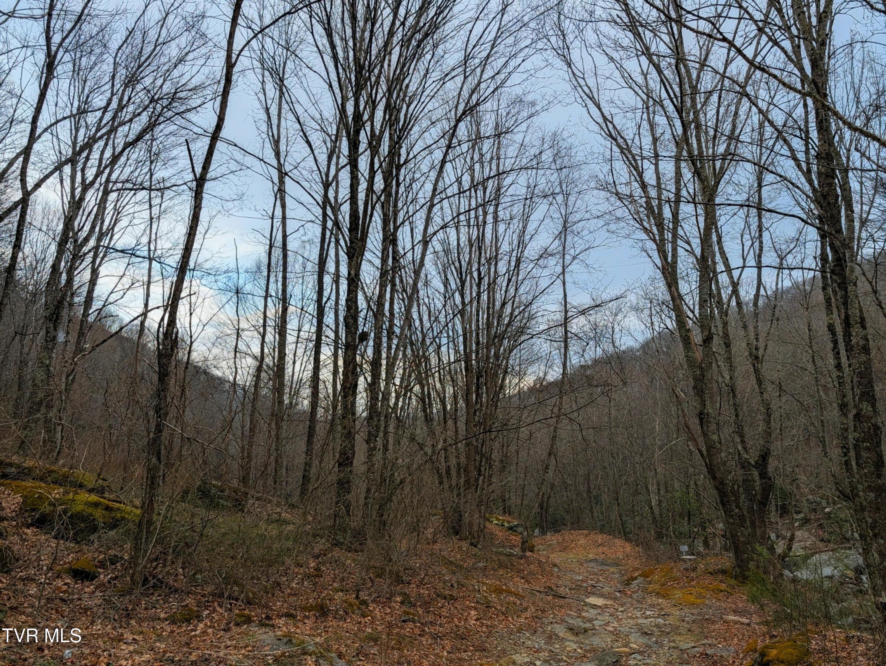 Image 4: PXL_20260326_152002976.MP~2