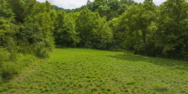 174 Acres War Creek Road