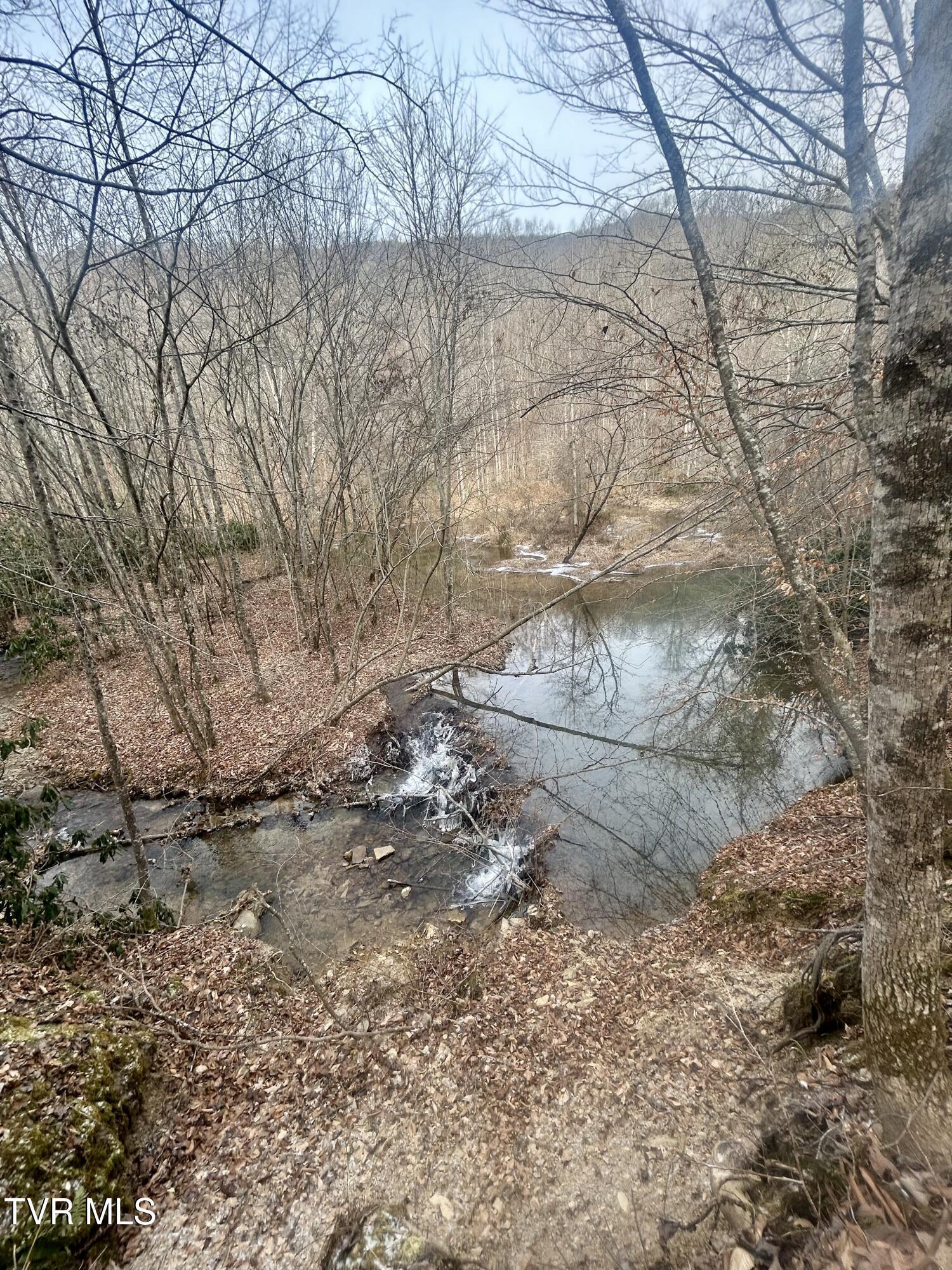 Image 3: IMG_0982