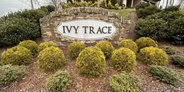 42 English Ivy Trail Trail