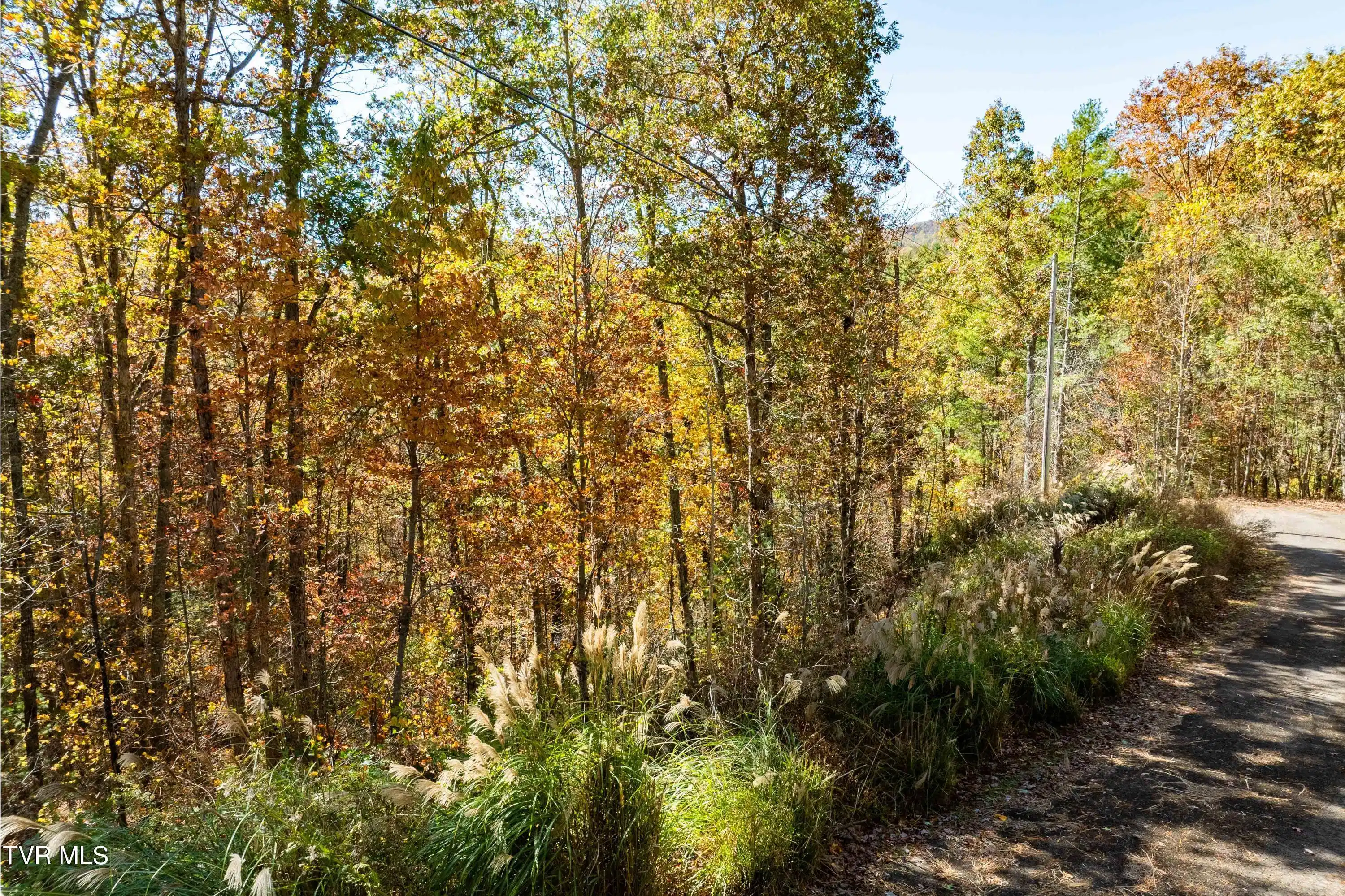 Image 1: TBD Blackberry Hill Ln (17 of 17)