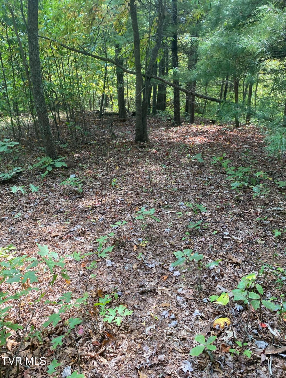 Image 2: IMG_6026
