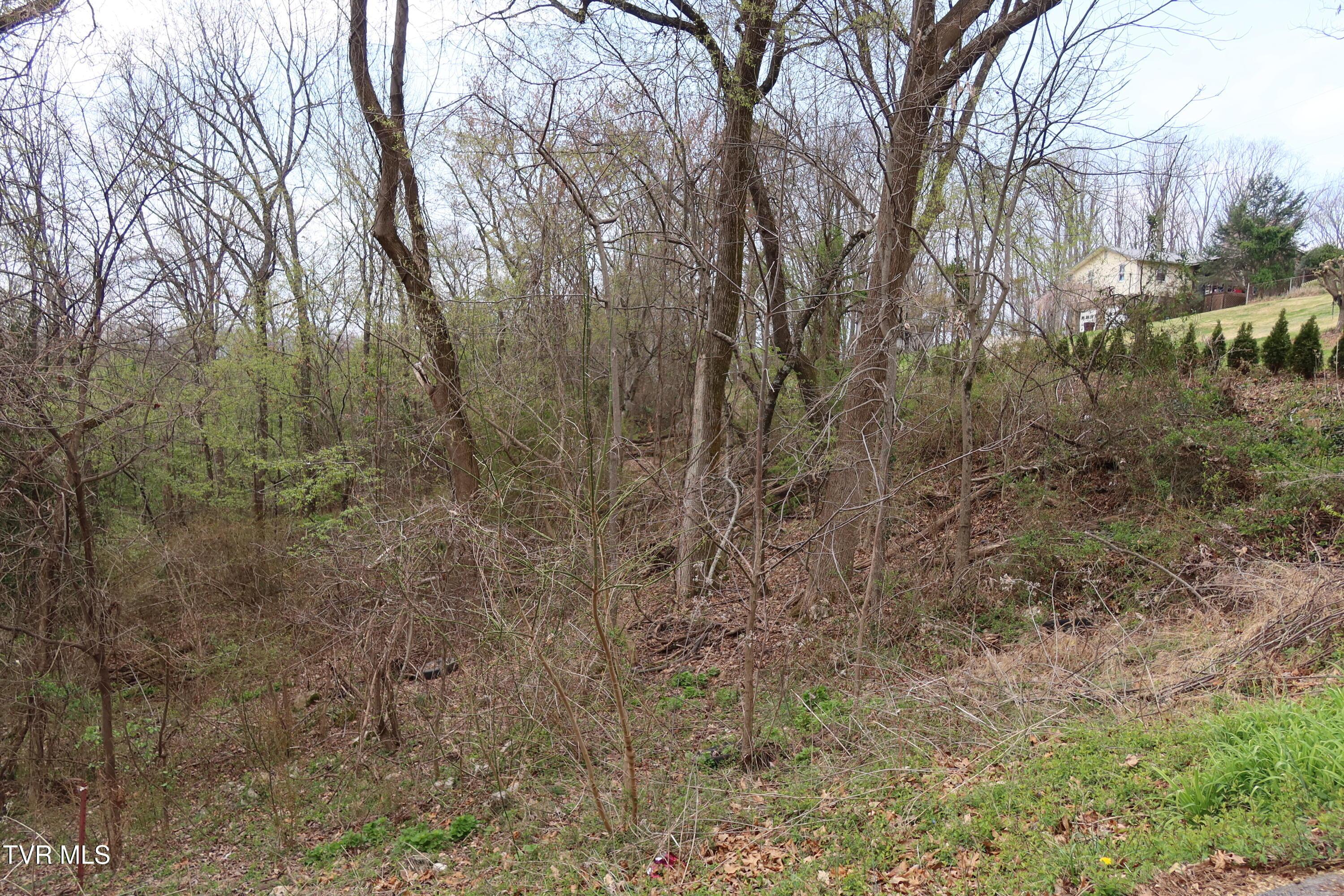 Image 3: IMG_8289