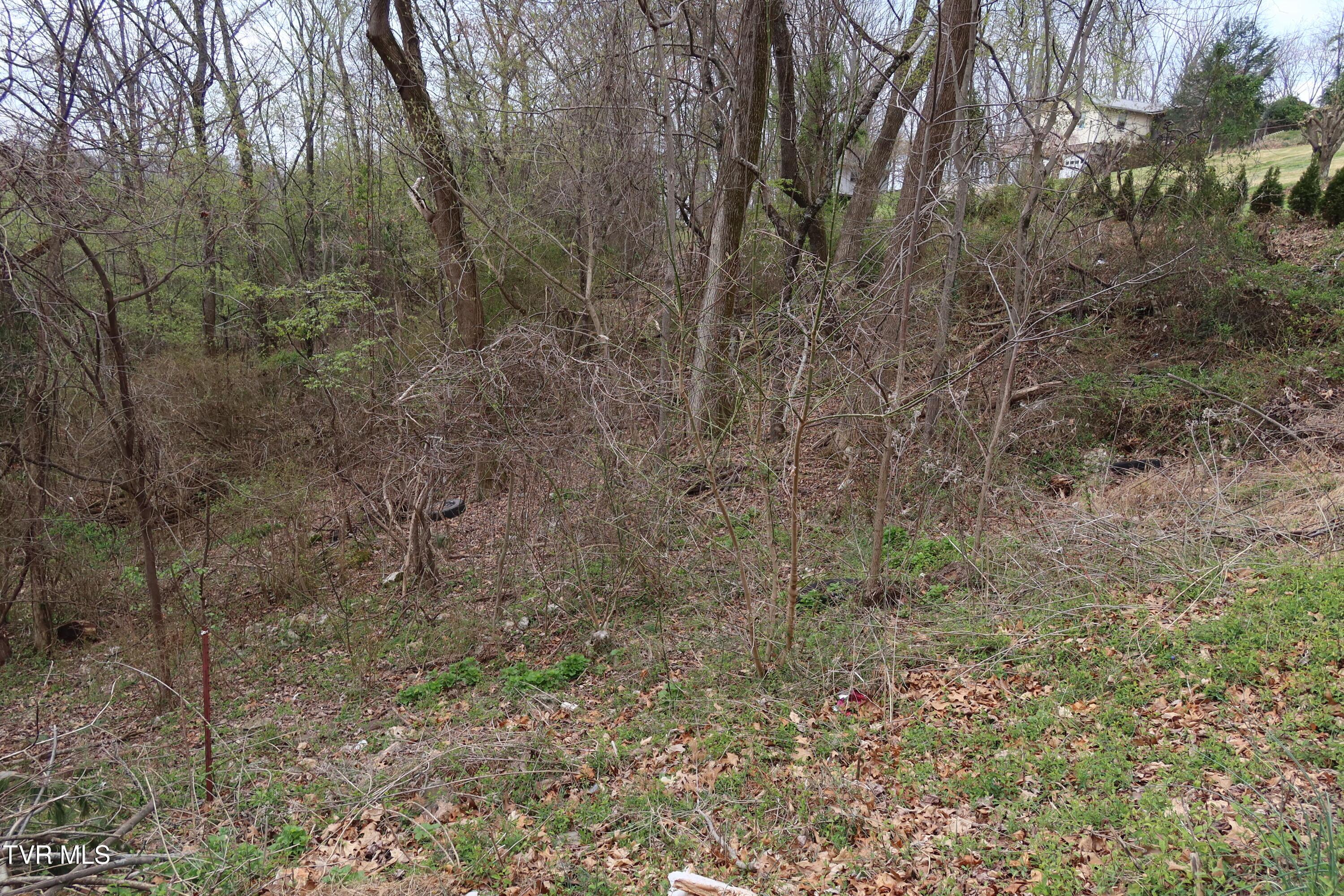 Image 4: IMG_8290