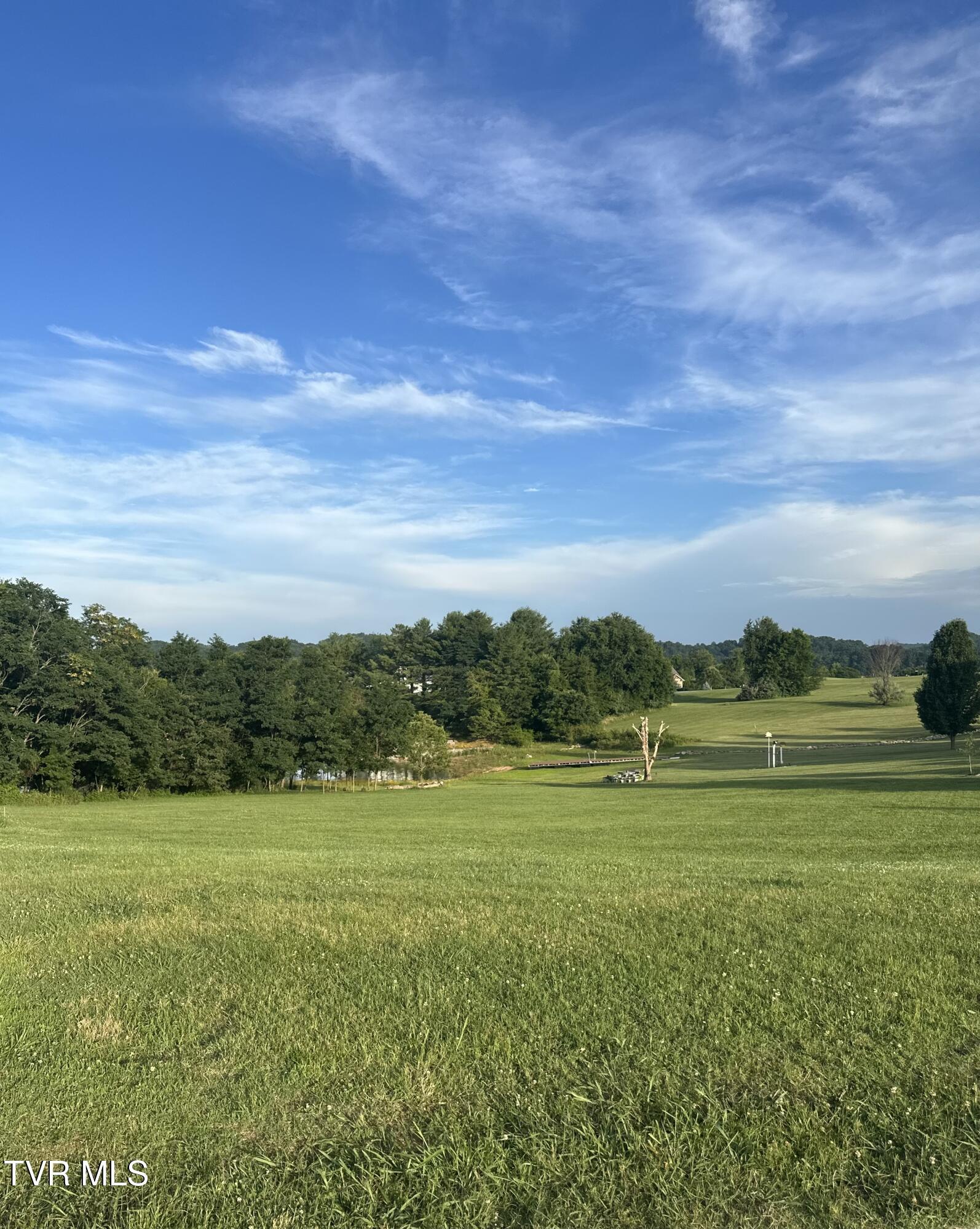 Image 2: IMG_0384