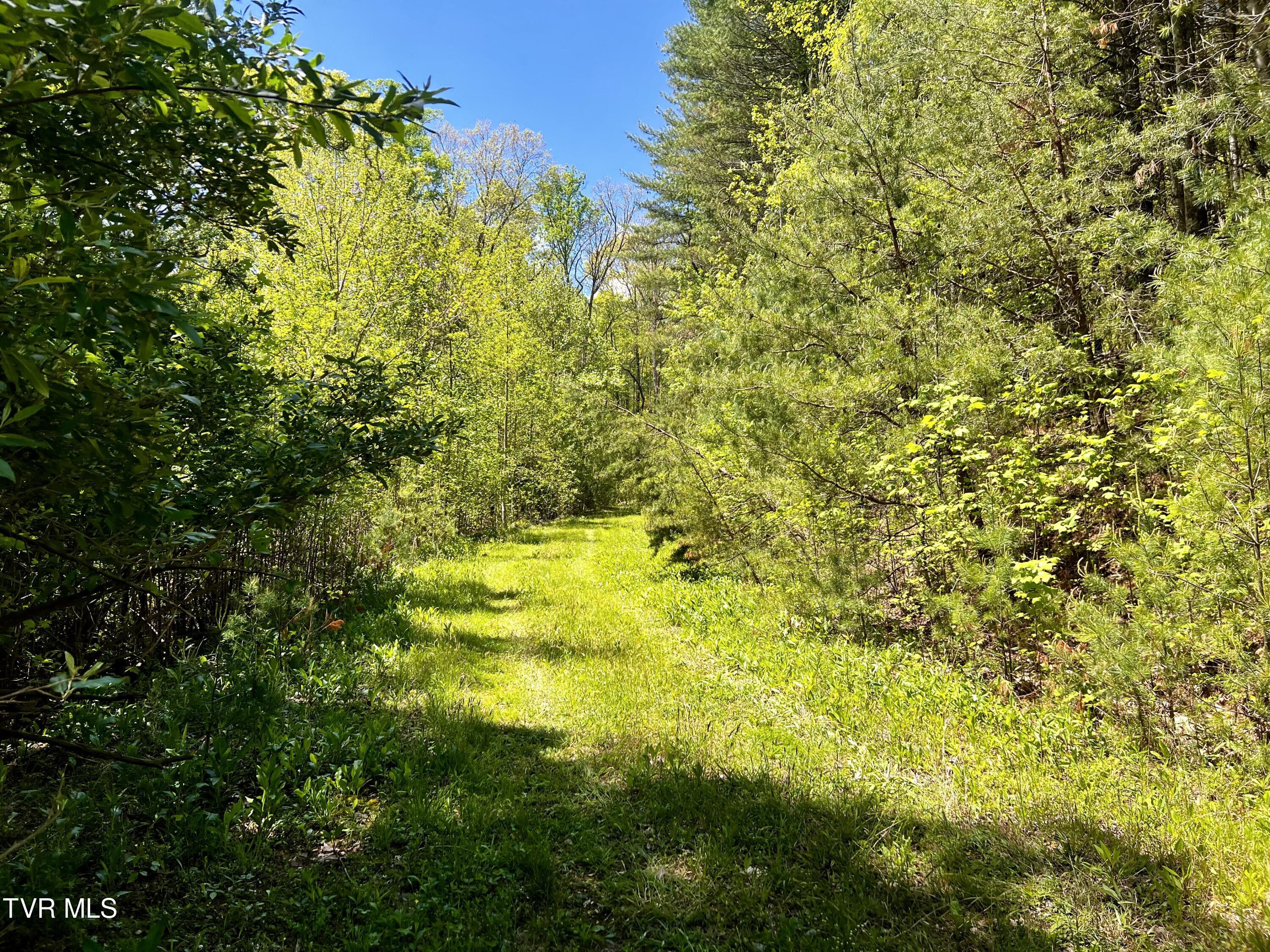 Image 3: _Pic4 (19)