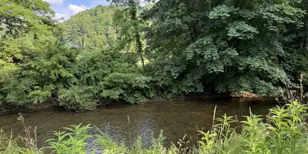 Image 2: Roan Mtn