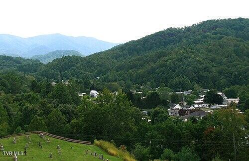 Image 3: IMG_0072