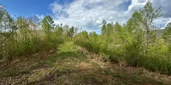 19/Ac Tbd Edith Gouge Rd