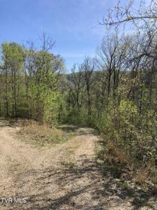 Tbd Tulip Poplar Trail Extension
