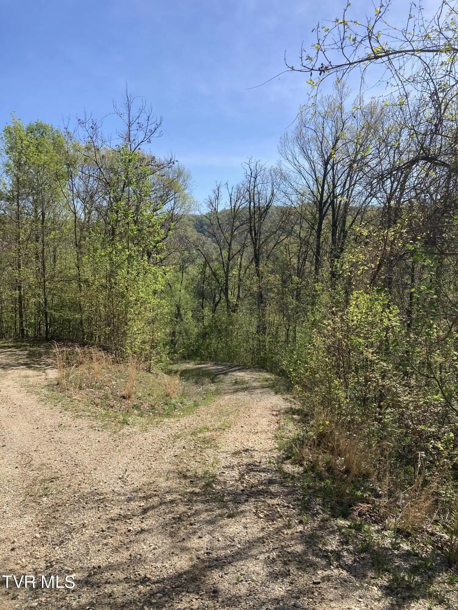 Image 1: Lot 64 Entry