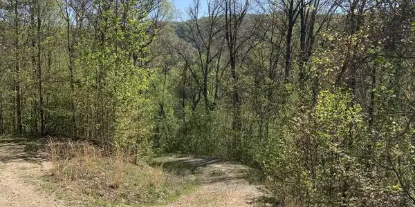 Tbd Tulip Poplar Trail Extension